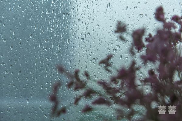 下雨感觉真好的说说 因为你我爱上雨天