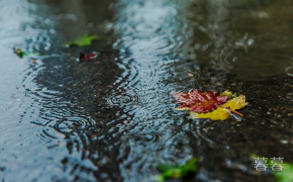 下雨感慨心情说说 愿你雨天无烦恼