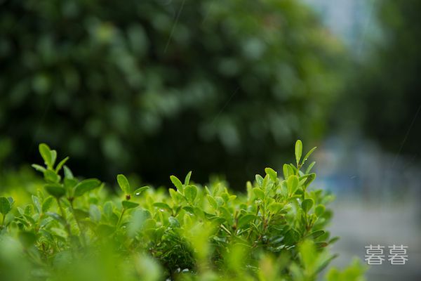 丈夫误会我和男闺蜜的关系 但是这件事是我的错吗