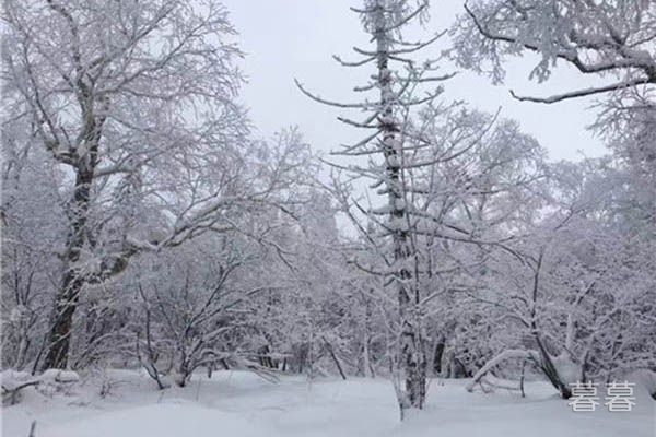 第一场雪的经典句子 漫天飞雪带去我对你的爱