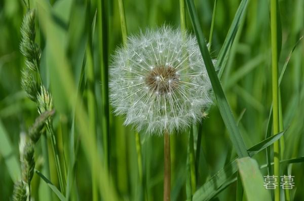 清明节祭英烈寄语 幸福生活是烈士用鲜血和生命换来的