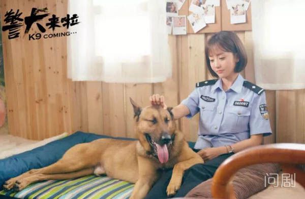 警犬来啦何木棉喜欢的人是梁粤吗 两人因犬结缘互生情愫