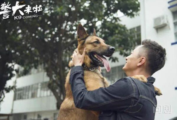 警犬来啦何木棉喜欢的人是梁粤吗 两人因犬结缘互生情愫